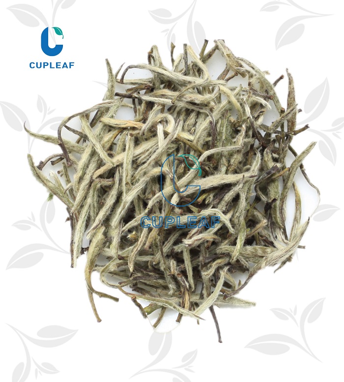 tea factory Bai Hao yin zhen Silver Needle white tea