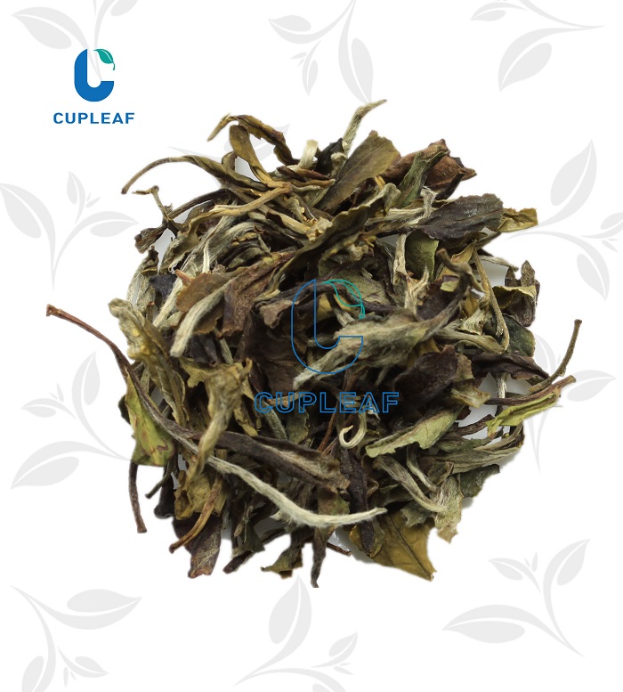 tea manufacturer Middle East market white tea