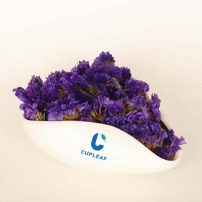 blue dried herb flower tea forget-me-not Myosotis Sylvatica