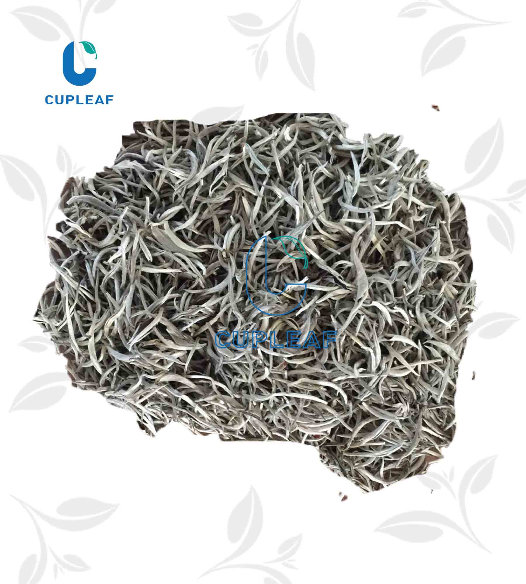 Organic Bai Hao yin zhen Silver Needle white tea